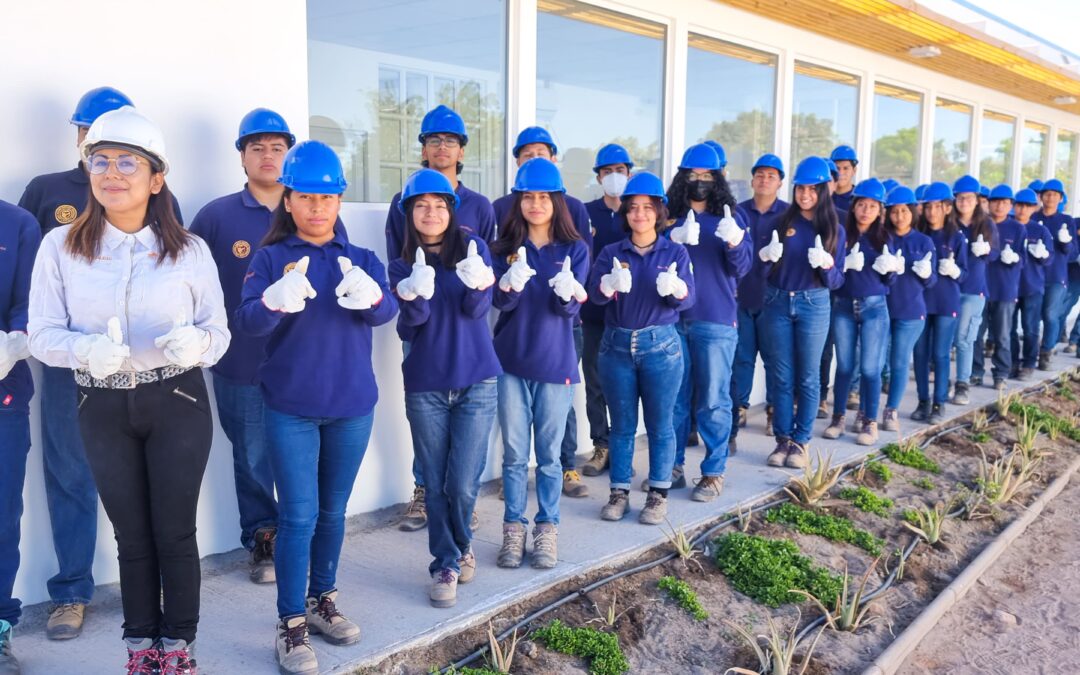 Liceo Bicentenario de Pica implementa planta de cuarta gama para estudiantes de agropecuaria y cooperativas agrícolas