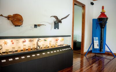 Con más de 8 mil 300 visitas finalizó muestra oceanográfica en Sala de Arte Casa Collahuasi