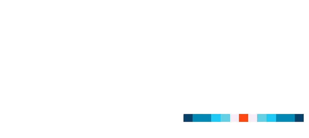 logo_alt